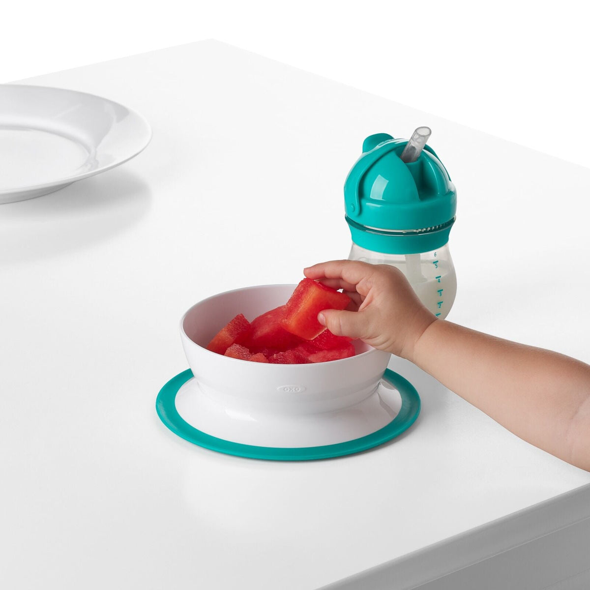 stick-and-stay-suction-bowl-a6 tot_61120600_4i.jpg