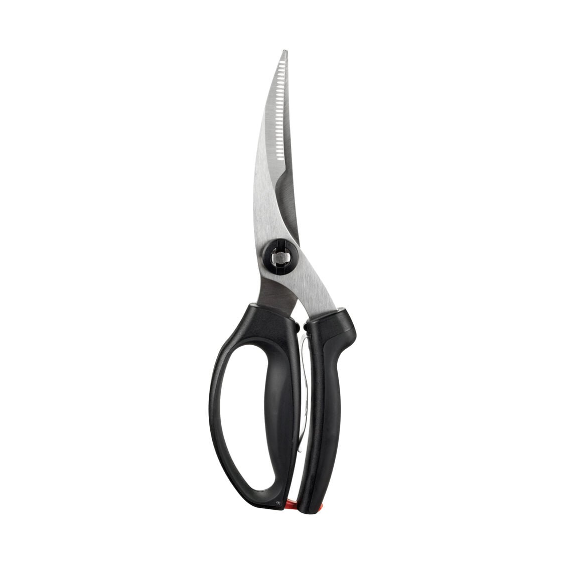 poultry-shears-z2 1072292V3.jpg