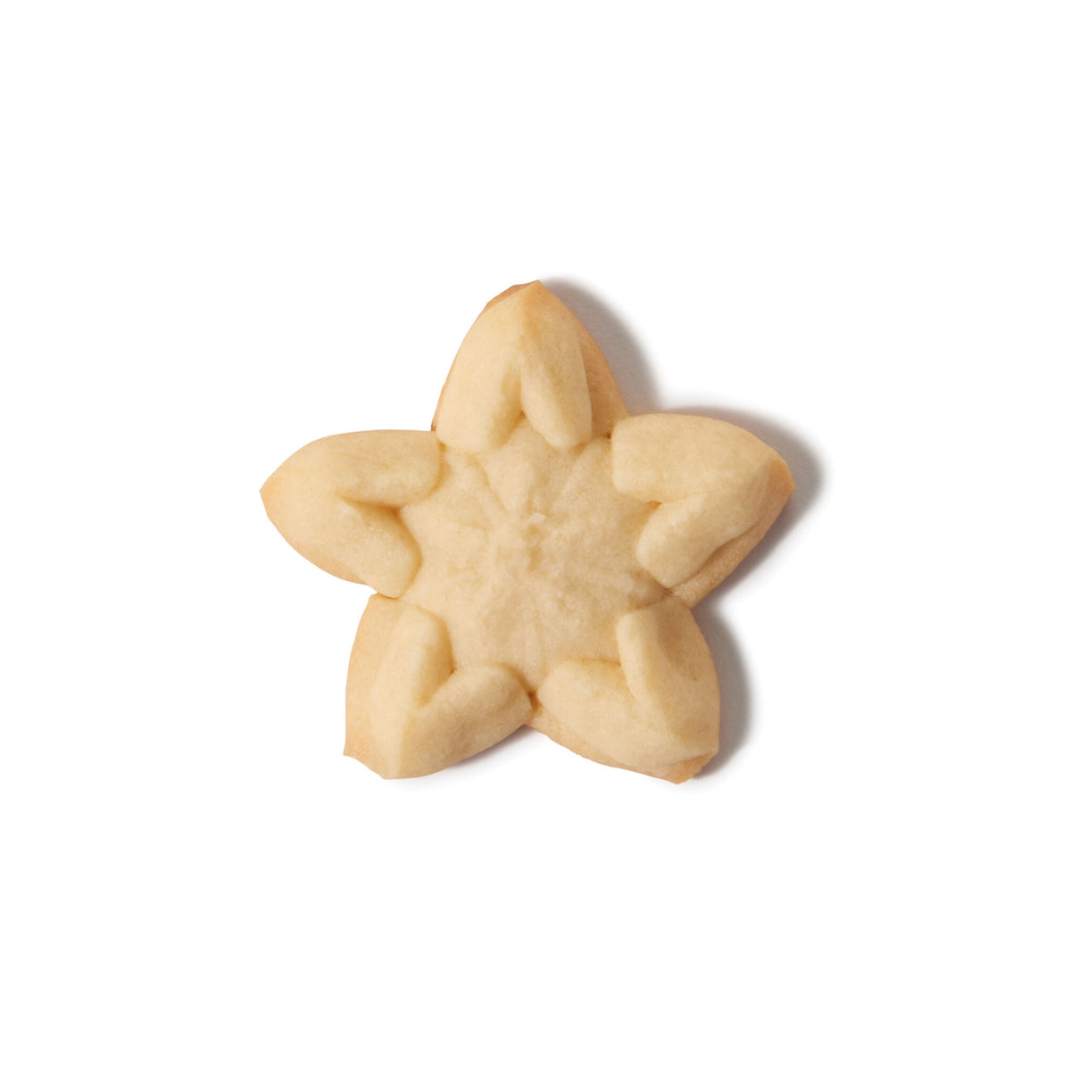 christmas-cookie-press-disk-set-u2 11177800_6_-star.jpg