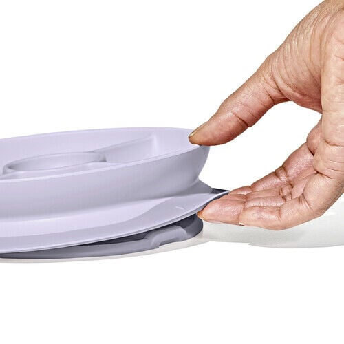 stick-and-stay-suction-divided-plate-v9 1134515a-7af7-4d77-8ad1-4534fbb13d49.jpg