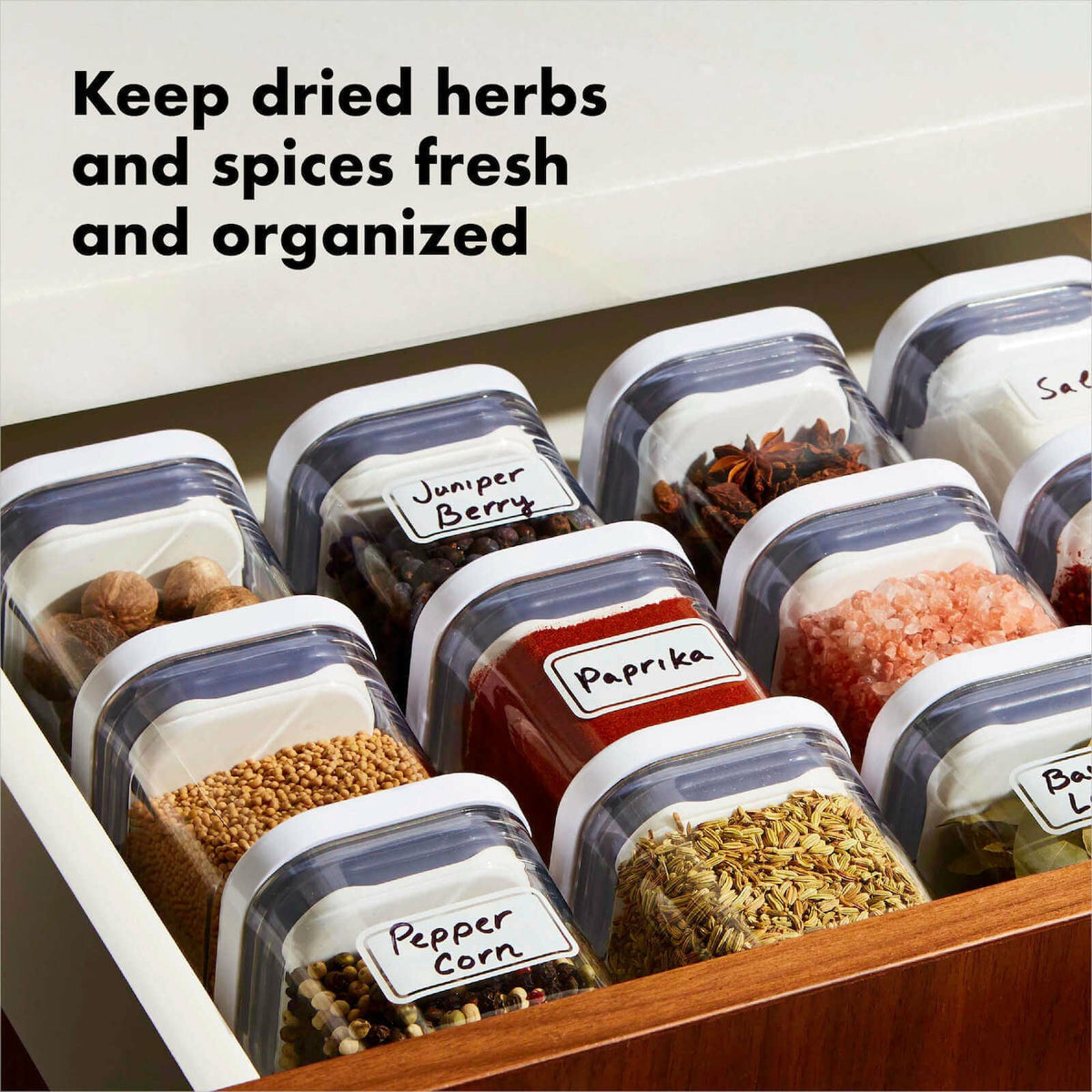 pop-4-piece-mini-container-set-h5 4_pieceaplusartboard_1-100_1_1_.jpg