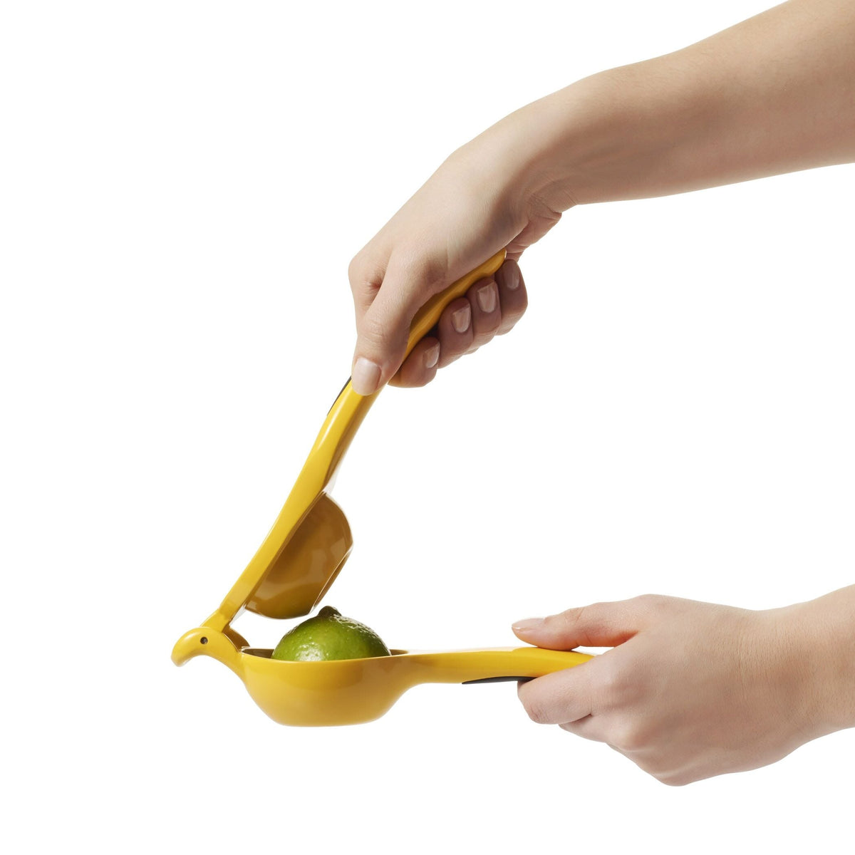 citrus-squeezer-r0 gg_1057962_4a.jpg