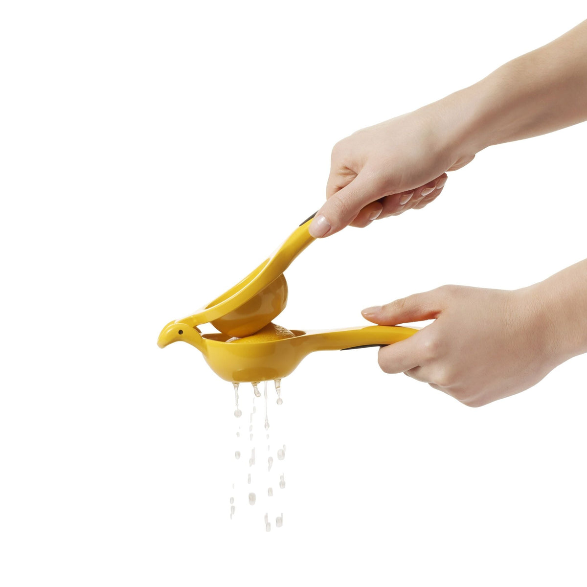 citrus-squeezer-r0 gg_1057962_4b.jpg