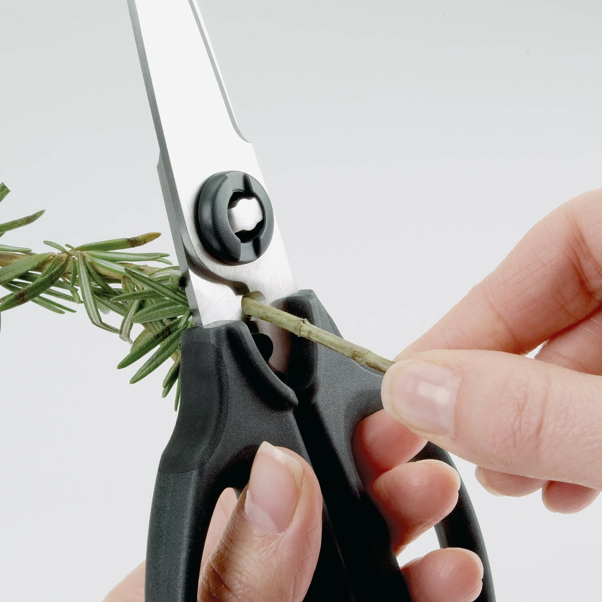 kitchen-and-herb-scissors-u2 gg_1072121_3_1_.jpg