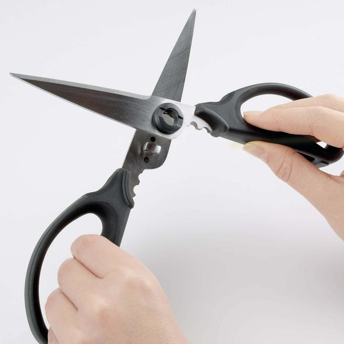 kitchen-and-herb-scissors-u2 gg_1072121_4_1_.jpg
