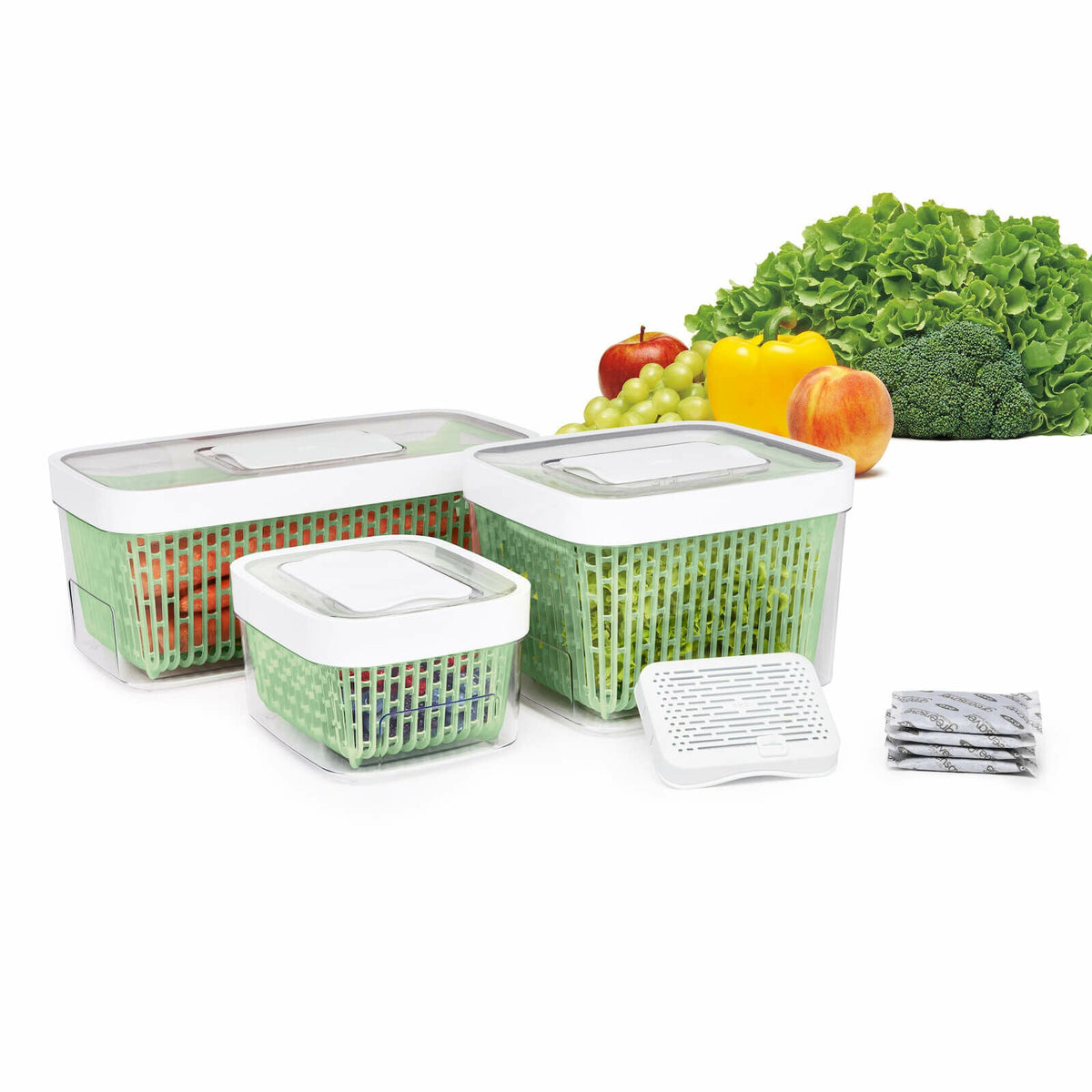 greensaver-produce-keeper-4-3-qt-b2 gg_11140000_1b_1_.jpg