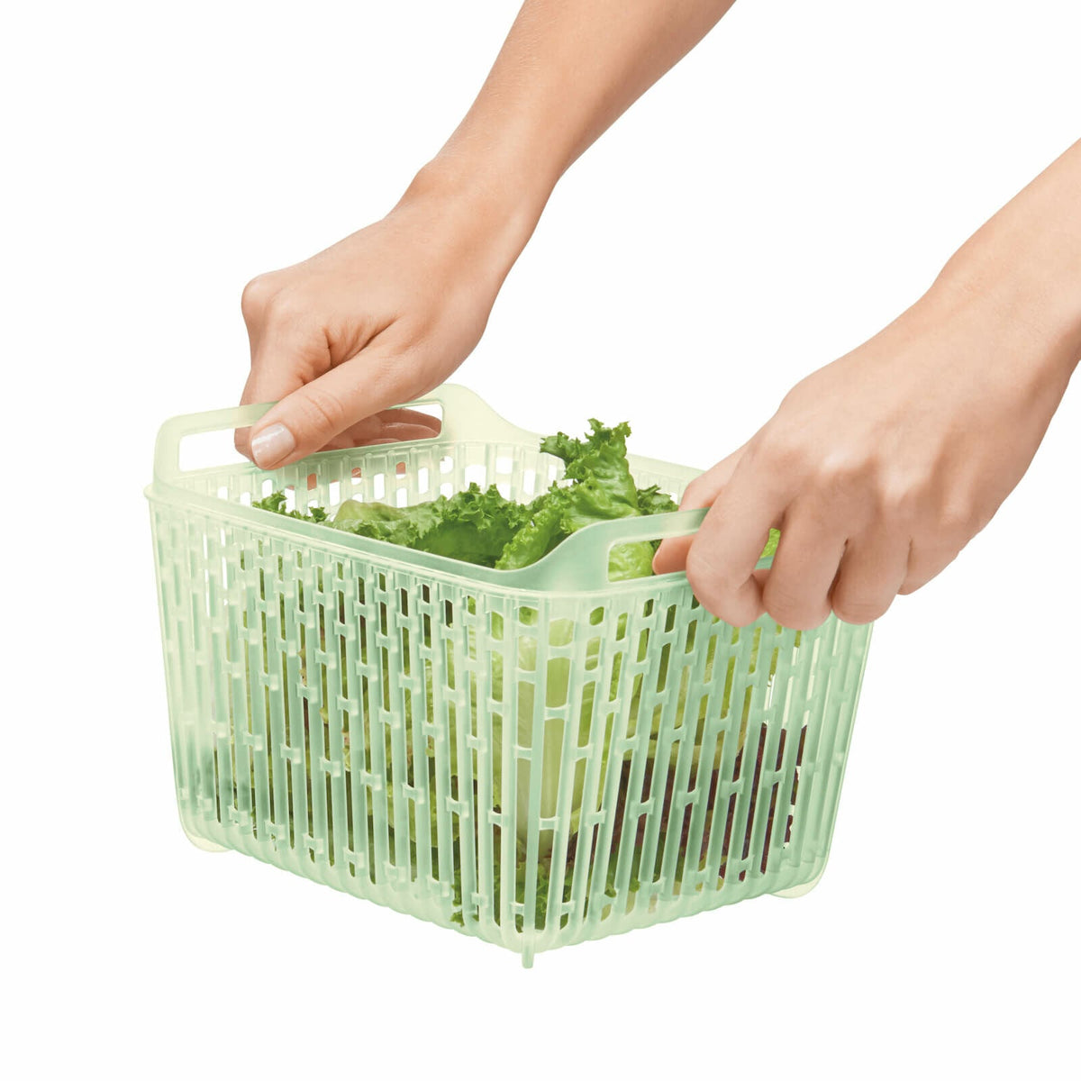 greensaver-produce-keeper-4-3-qt-b2 gg_11140000_4c_1_.jpg