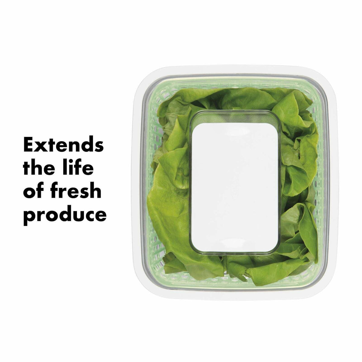 greensaver-produce-keeper-4-3-qt-b2 gg_11140000_greensaverproducekeeper_4_3qt_apdp_01_1_.jpg