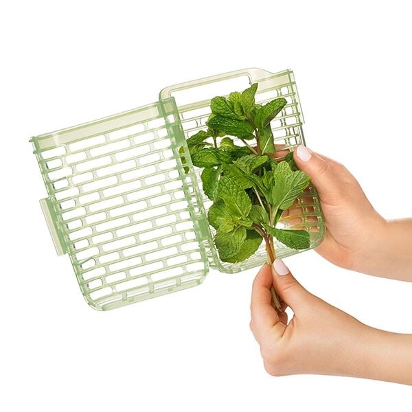 greensaver-herb-keeper-small-e7 gg_11212200_4.jpg