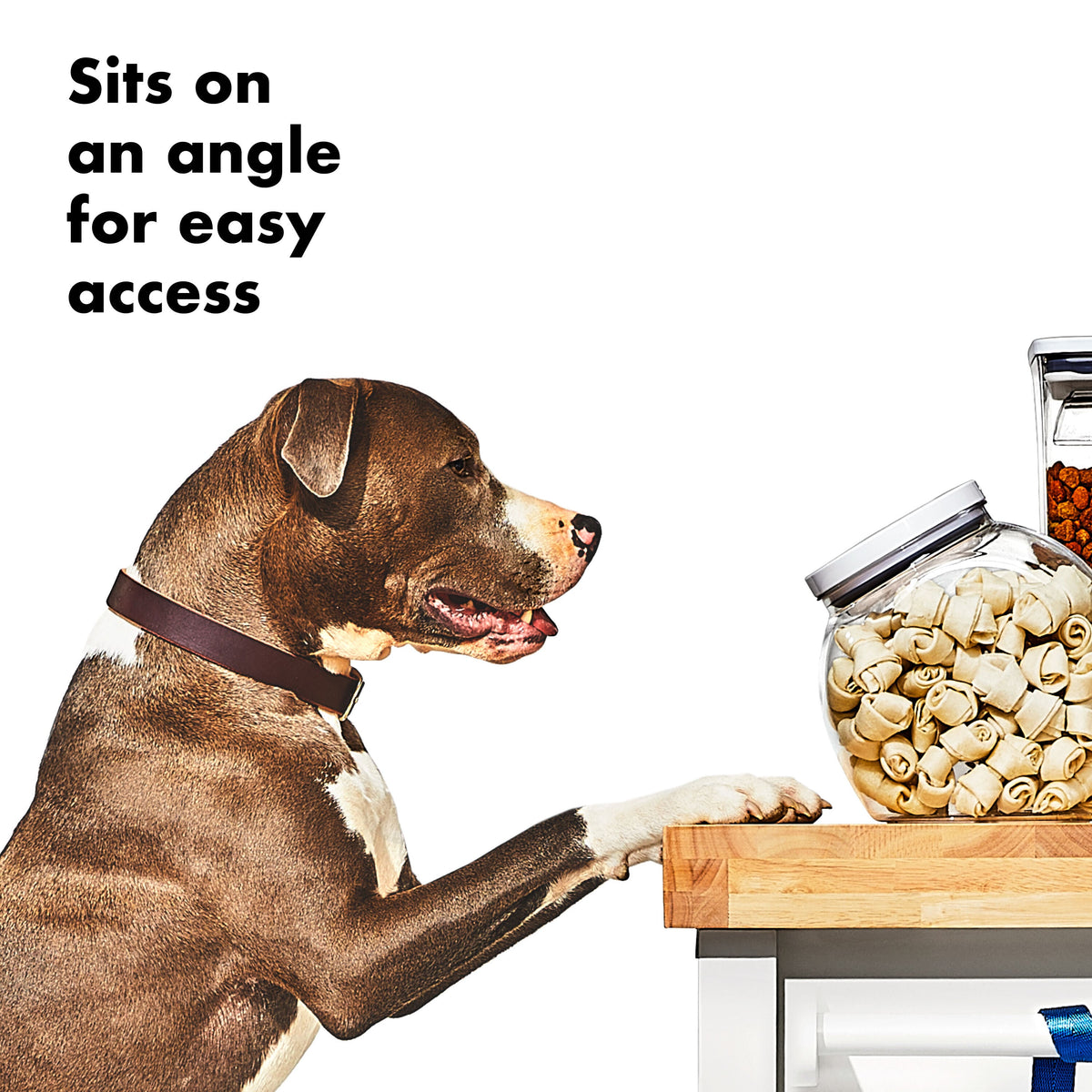 oxo-good-grips-pet-pop-container-3-0-qt-2-8-l-f2 gg_11332400_8b.jpg
