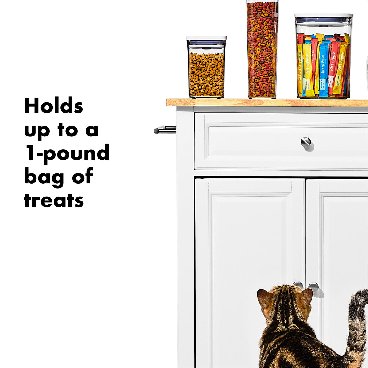 oxo-good-grips-pet-pop-container-1-1-qt-1-l-j1 gg_11332600_8.jpg