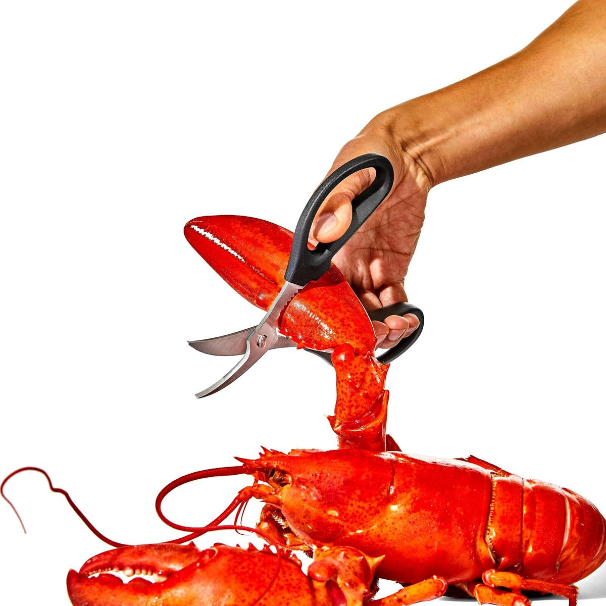 seafood-scissors-z8 gg_11350600_seafoodscissors_03_p.jpg