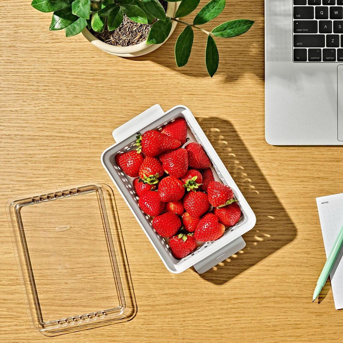 produce-saver-berry-keeper-2-piece-set-y3 gg_berry-keeper-produce-saver_pdp_01_1_.jpg
