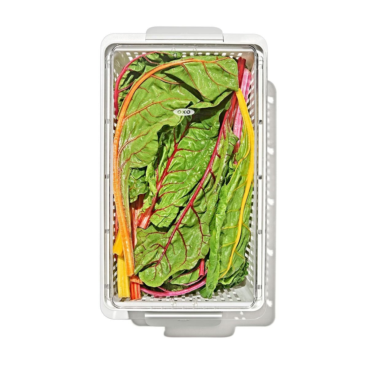 produce-saver-large-bin-x3 gg_sw_produce-saver-large_10.jpg