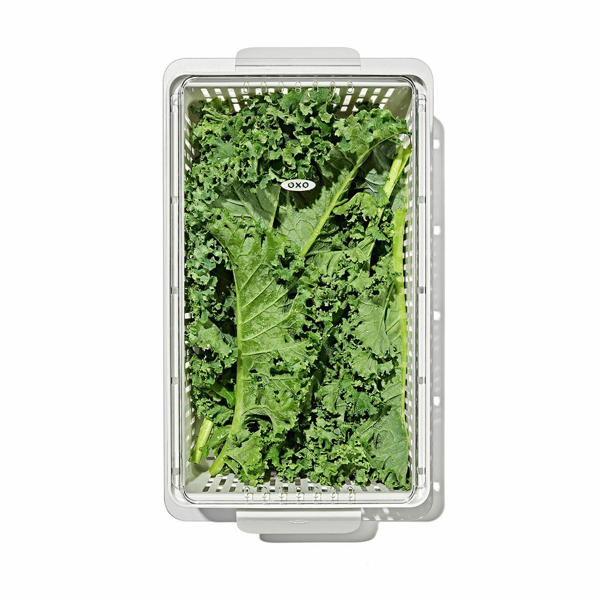 produce-saver-medium-bin-c0 gg_sw_produce-saver-medium_05.jpg