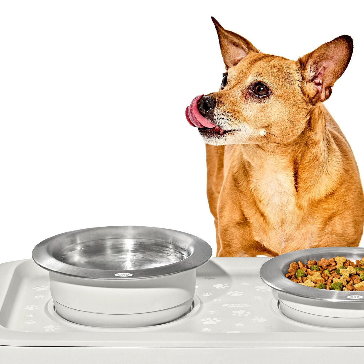 oxo-pet-nonslip-bowl-large-4-cups-950-ml-f4 pet_7102000_nonslip-large-bowl_pdp_02.jpeg