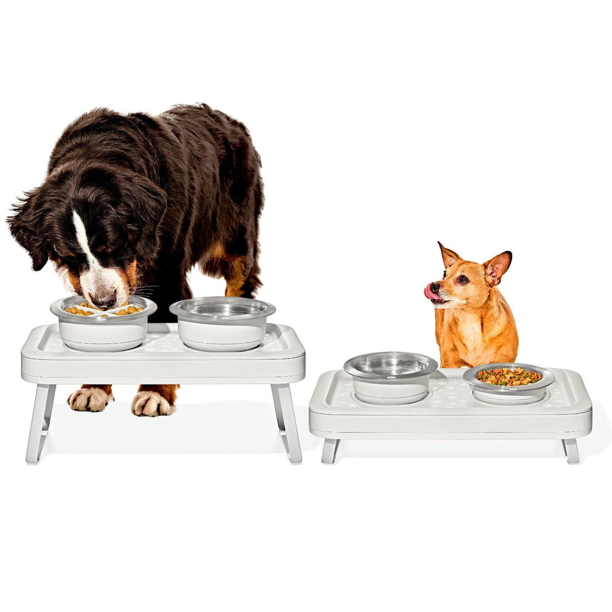 oxo-pet-adjustable-elevated-feeder-v1 pet_7102300_elevated-feeder_pdp_01.jpeg