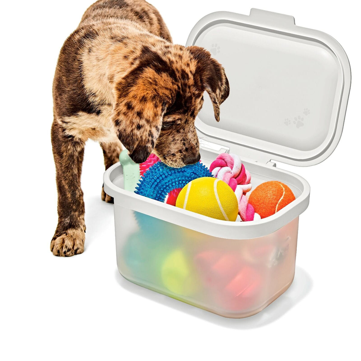 oxo-pet-multi-purpose-container-u0 pet_7301300_multi-purpose-container_pdp_06.jpeg