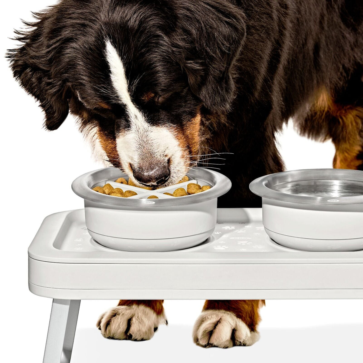 oxo-pet-easy-clean-slow-feeder-medium-2-cups-489-ml-m7 pet_slow-feeder-medium-large_pdp_02_1.jpeg